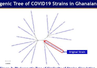 Ghana successfully identify the genetic makeup of covid19 virus